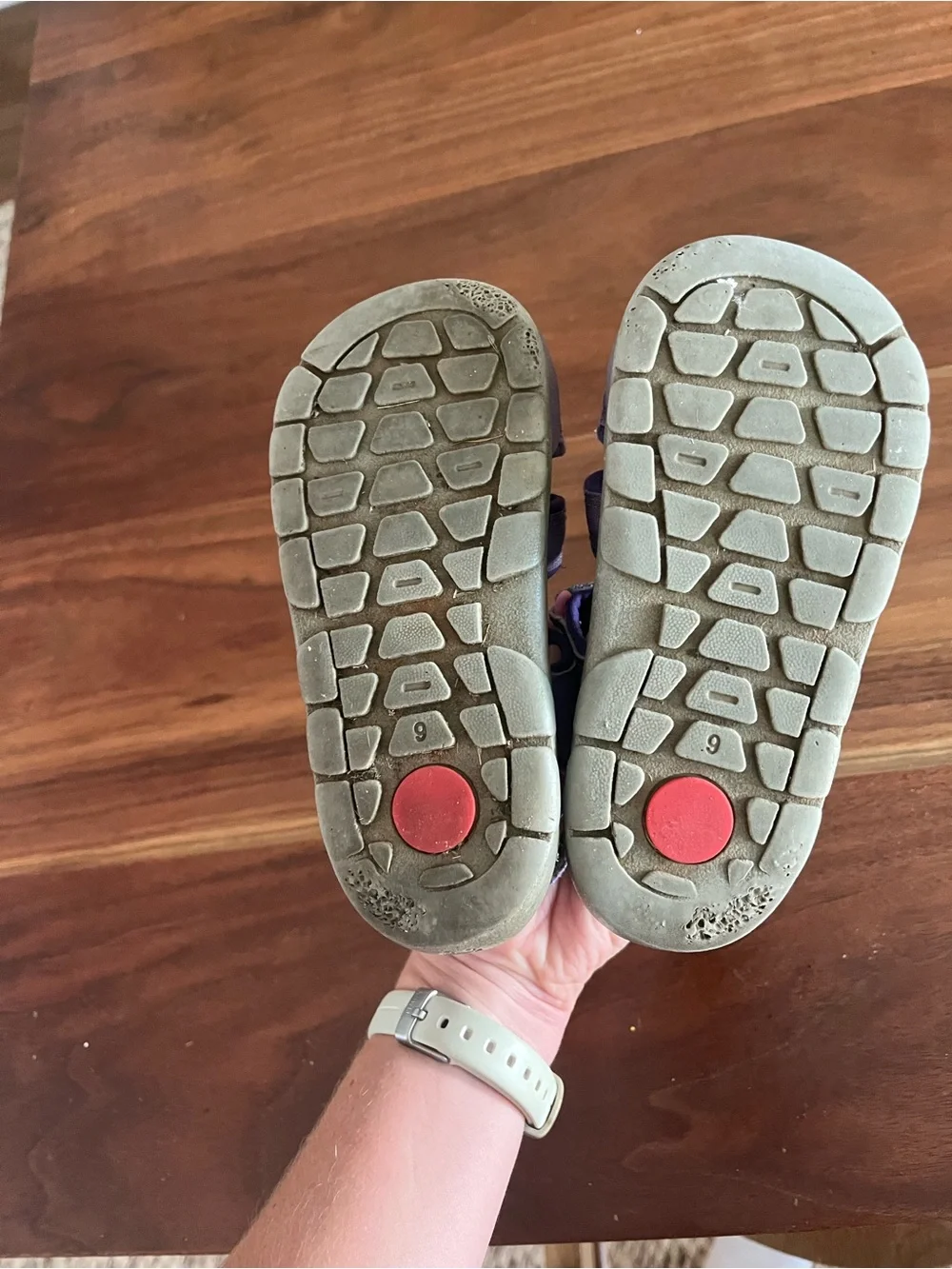 See Kai Run Purple & Pink Closed-Toe Sandals